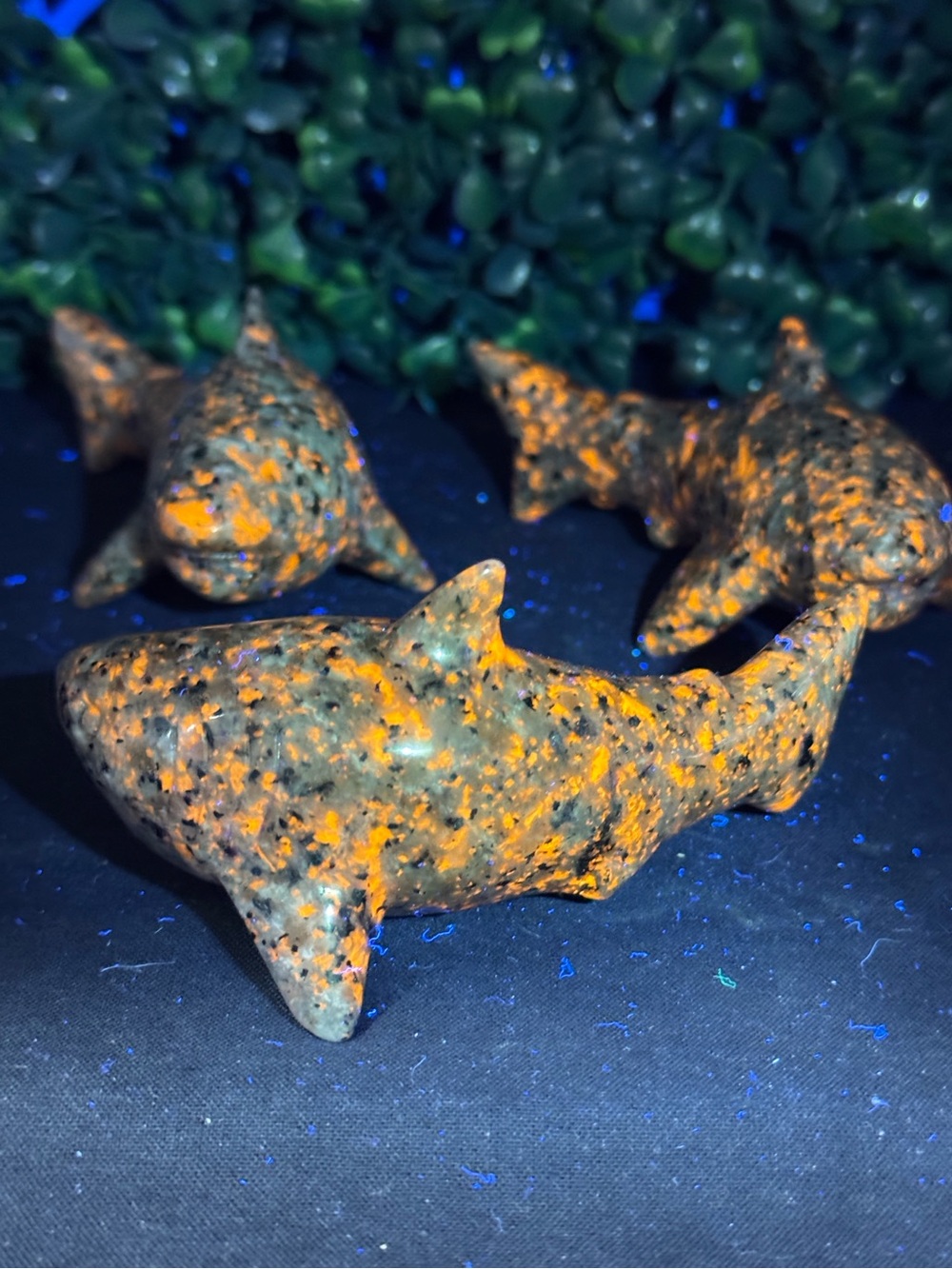 *GLOWS* Yooperlite Shark